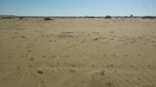 اراضي زراعيه للبيع ب الواحات البحريه بسعر مغري جدا