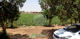 استلم أرضك داخل أكبر مجتمع ريفى جديد وعيش حياتك