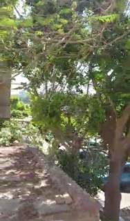 فيلا للبيع فى مدينة نصر عند الحديقة الدولية 350م