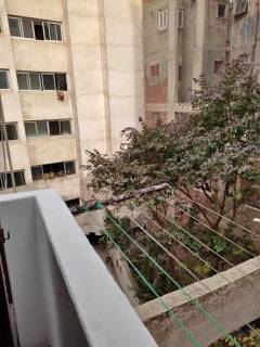 شقه قانون جديد بالعصافره بحري