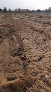 مزرعه للبيع 16فدان فى وادى النطرون