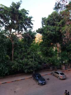 R194 شقه مفروشه للايجار بالزمالك