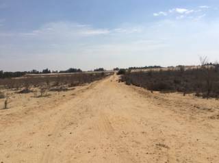 230 فدان للبيع بالكيلو 47 طريق مصر اسكندرية