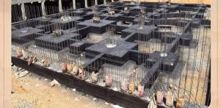 شقه للبيع في القاهرة الجديده التجمع لوكيشن مميز