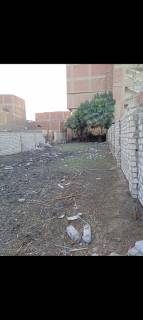 بالقسيط امتلك مزرعتك ري مباشر من الترعة