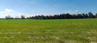 مزرعه 5 فدان كامله المرافق