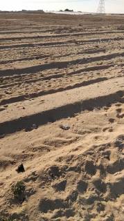 مزرعه19فدان فى وادى النطرون