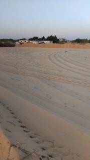 مزرعه30فدان للبيع