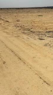 مزرعه90فدان فى وادى النطرون