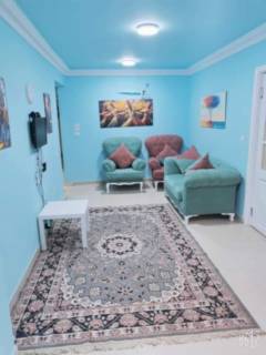 شقه فندقيه مكيفه بالكامل ع النيل بالمنصوره