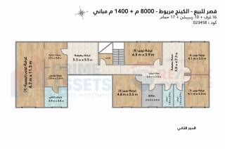 قصر للبيع 8000 متر كينج مريوط ش قرطبة
