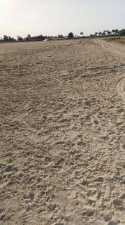 10فدان فى وادى النطرون بنى سلامه