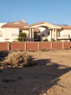 أرض للبيع فى الطلائع امام المركز الطبى العالمى