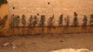 شاليه ارضى بحديقه للبيع بقرية اللوتس الساحل الشمالى