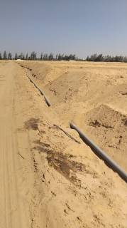 20فدان فى وادى النطرون الدبلوماسيين