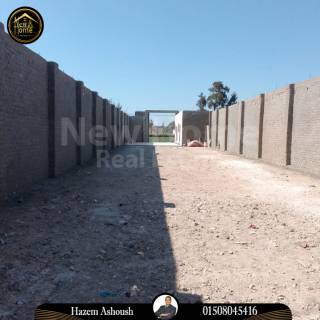 مخازن للايجار الاسكندرية 500 متر أبيس الطريق الدائرى