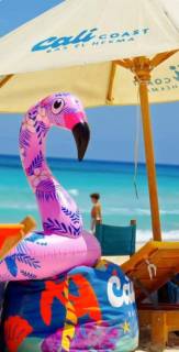 شاليه للبيع استلام قريب في الساحل الشمالي بالتقسيط