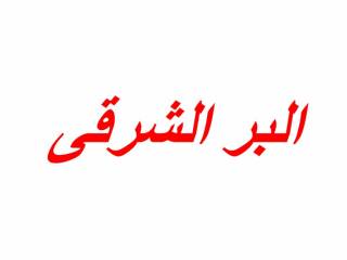 شقة فى شبين الكوم موقع مميز