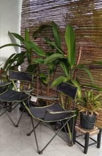 شاليه ارضي بجاردن للبيع شاطئ الفيروز كيلو37 140م