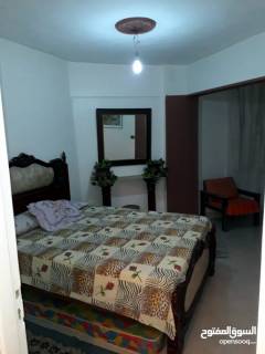 شقه مفروشه مكيفه بالبيطاش العجمي اخر شهر العسل