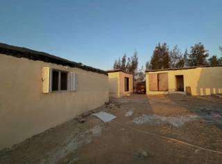 مزرعه20فدان للبيع بوادى النطرون