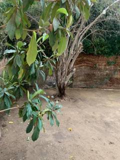 دور ارضي بحديقة 450م بالزمالك01002333702