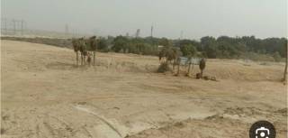 ارض 65 فدان مقننه للبيع في الثوره الخضراء في اكتو