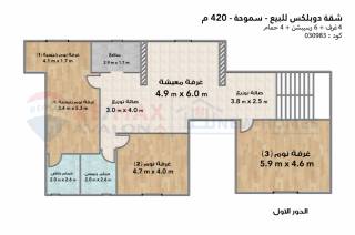 شقة دوبلكس للبيع 420 متر سموحة ش فوزي معاذ مباشرة