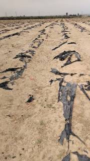 ارض للبيع بالبحيرة بوادي النطرون مساحة 14 فدان