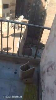 شقه للايجار ق ج في الدقي 3غرف وحمامين دور 9 اسانسي