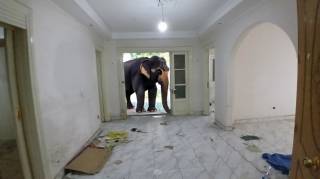 مكتب للإيجار فى الدقى 100م خطوات من شارع الدقى الرئيسى