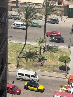 شقة تصلح سكني او إداري للإيجار 245 متر سموحة