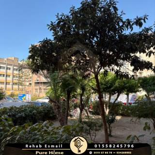 مقر اداري للايجار 150 متر سموحه