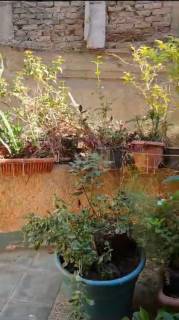 بحدائق الاهرام الفيلا ٤٥٠ متر الحديقه ١٥٠ متر