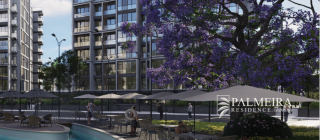 بالم هيلز العالمين الجديدة