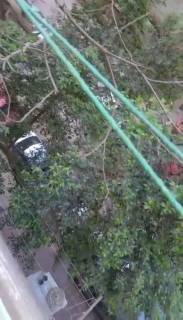 شقة للايجار في الدقي قرب نادي الصيد منطقة راقية