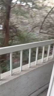 مكتب 5غرف 300م للايجار في الدقي بالقرب من مترو الب