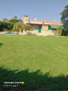 مزرعة عنب مثمرة للبيع