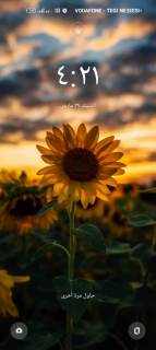 أرض زراعية 20 فدان