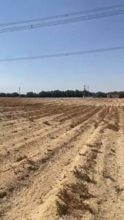 أرض زراعية عقد خالص الثمن مساحة 750 فدان بسعر مناس