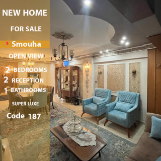 شقة للايجار المفروش 150مسموحةشارع اسماعيل سرى