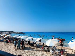 قطعه ارض داخل قرية بلوبيتش