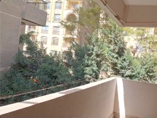 مقر داري بجامعه الدول 180م واجهه علي الشارع