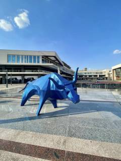 مكتب مفروش فخم للشركات الراقية 30 الف امام فاميلى