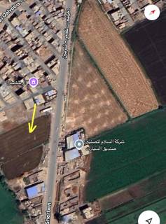 ارض زراعية للبيع داخل كردون قرية عوض حسانين