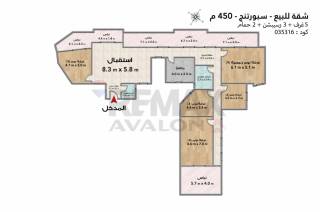 شقة للبيع 450 متر سبورتنج دوران شارع بورسعيد