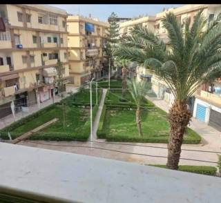 للبيع شقة حي الشرق الموظفين عقد ازرق