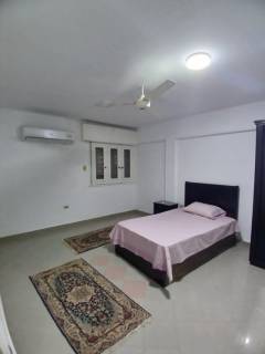 شقه مفروشه للإيجار في الدقي بالقرب من ميدان عمان و