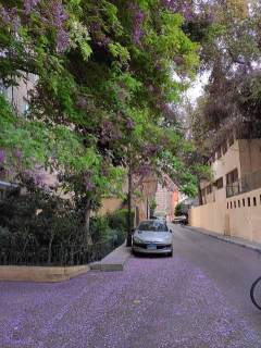 فيلا مستقلة للإيجار بالزمالك 01002333702