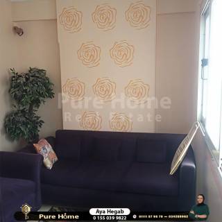 شقة للايجار المفروش سموحة متفرع من شارع النصر